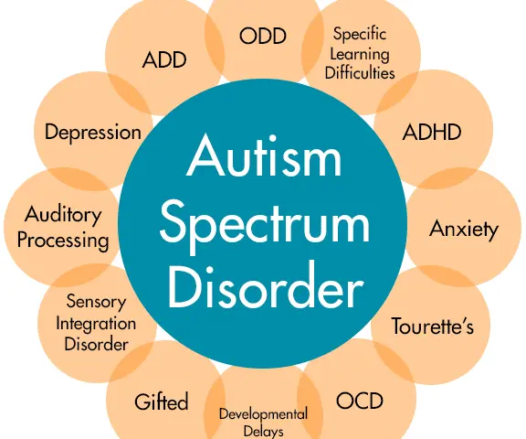 Best Shadow Teachers , Special Education Tutors in India , Find Shadow Teacher , Need Special Educator or Shadow Teacher , Special Education for Special needs tutors in India , Shadow teacher required in India , India Shadow Teacher